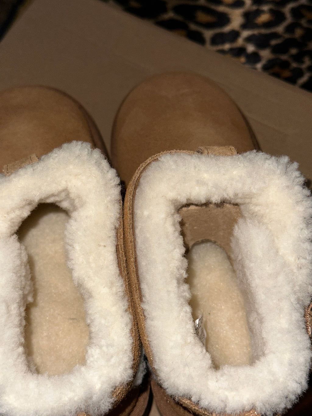 UGG | Ultra Mini Belted Roller Boots | Chestnut